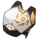 Champion's Chest Guard