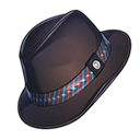 Recluse's Wide-Brimmed Fedora